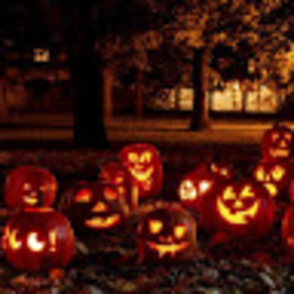 Profile Picture of Lily Ryan (@lilyryan172) on Poshmark