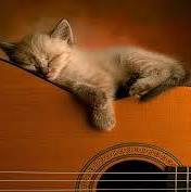 Profile Picture of Everardo Claudio Jimenez Vargas (@everardoclaudio.jimenezvargas) on Facebook