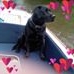 Profile Picture of Hans Schipper (@hans.schipper.315) on Facebook