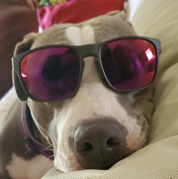 Profile Picture of Jacob Seymour (@jacobseymour05) on Poshmark