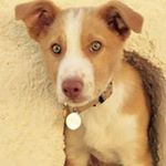 Profile Picture of Marlène Dilasser (@marlenedilasser) on Instagram