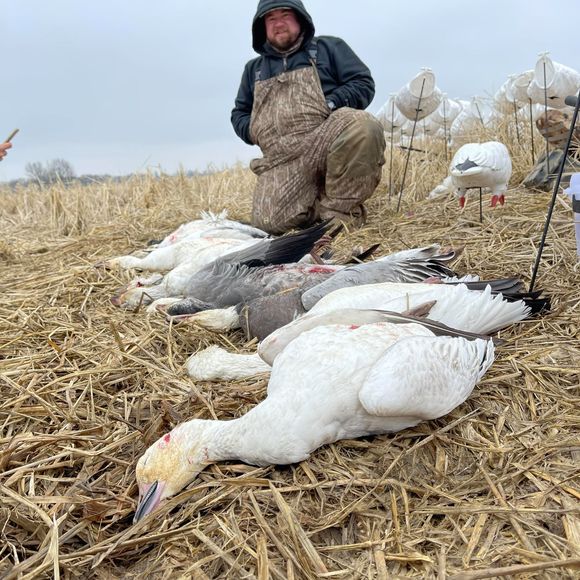 Profile Picture of Clay Porter (@jcp1994) on Poshmark