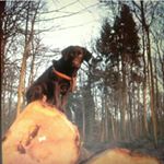 Profile Picture of ❤💙pauli💙❤ (@paula_krueger_25) on Instagram