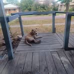 Profile Picture of Jimmy Mann (@Jimmy-Mann) on Facebook