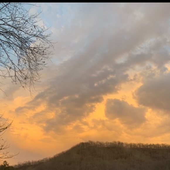 Profile Picture of Tabitha Nichols (@trndgn1983) on Poshmark