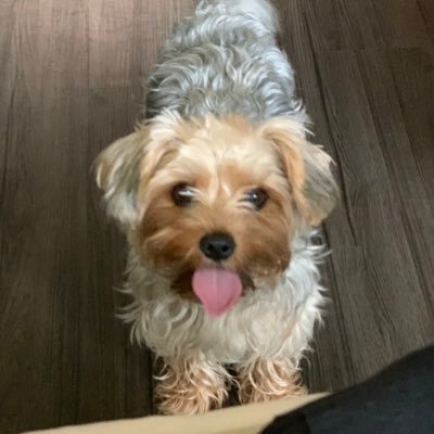 Profile Picture of Jon Conley (@jconley338) on Twitter