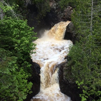 Profile Picture of Alyson Larkin (@AlysonLarken) on Twitter