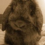 Profile Picture of Marcin Machnicki (@marcin.machnicki) on Instagram