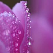 Profile Picture of Sue Lauderman Mayfield (@suelauderman) on Pinterest