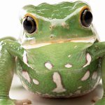 Profile Picture of Leslie Holley (@seanthiel_abed) on Instagram