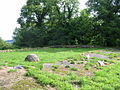 Profile Picture of Duffield Castle, Derbyshireon Wikipedia