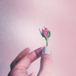 Profile Picture of Joseph Tuller (@silvyoug) on Instagram