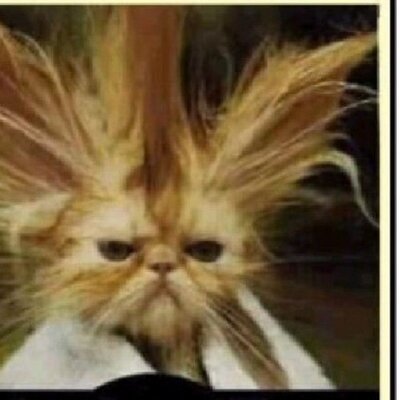 Profile Picture of Thomas  Stallings (@fanguide36) on Twitter