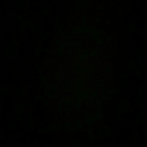 Profile Picture of Lari Smith (@larismith) on Poshmark