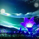 Profile Picture of Jason Bonifacio (@jasbonifacio50yahoocom) on Instagram