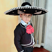 Profile Picture of David A. Lazaro Portillo (@davida.lazaroportillo9730) on Youtube
