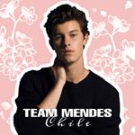 Profile Picture of Shawn Mendes Chile (@teammendeschile) on Instagram