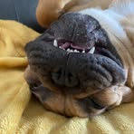 Bethany Salter - Facebook Profile Picture of Bethany Salter (@bethany.salter.121) on Facebook