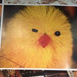 Profile Picture of Jérémy Messer (@jeremhimself) on Instagram