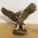 Profile Picture of Michael Glanzer (@michael.glanzer.336) on Instagram