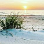 Profile Picture of donna diffendale (@donnadiffendale) on Instagram