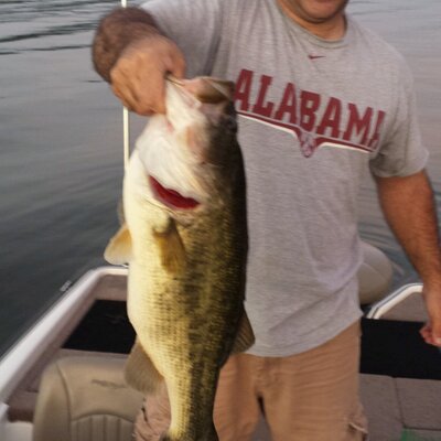 Profile Picture of Keith Al-Dijaili (@aldijailik) on Twitter