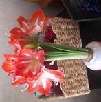 Profile Picture of Cathy Wesley Loflin (@Cathy-Wesley-Loflin) on Facebook