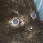 Profile Picture of Zachary Ram Munoz (@zacrammunoz) on Instagram