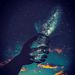 Profile Picture of Reem Mohammad (@rahmamoh4) on Pinterest