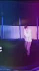 Profile Picture of   Nikki Nikki (@xniic) TikTok... (@xniic) on Tiktok