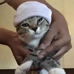 Profile Picture of Andrew Ocampo (@andrew_______ocampo) on Instagram