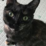 Profile Picture of Ellen Engelson (@ese0720) on Instagram