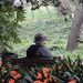 Profile Picture of William Altpeter (@waltpeter) on Pinterest