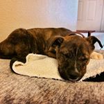 Profile Picture of Tucker Jake Gleason (@tucker_gleason) on Instagram