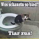 Profile Picture of Alexandra schatz (@schatz_alexandra) on Instagram