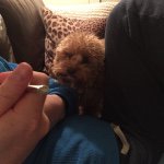 Profile Picture of Christopher Sherman (@strawberrymystique) on Instagram