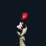 Profile Picture of lackofexistence (@nora_bakh0320) on Instagram