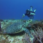 Profile Picture of Nathan Brice (@nathanlbrice) on Instagram