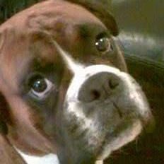 Profile Picture of Jim Anderson (@noneckjim) on Tiktok