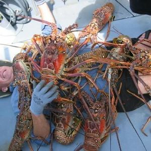 Profile Picture of Peter Schmutz (@353380788) on Myspace