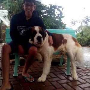 Profile Picture of Dave Cabañas (@Cristopherdave) on Twitter