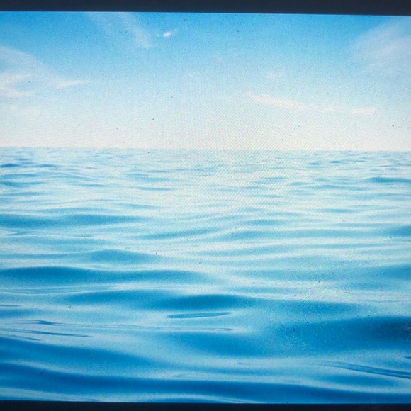 Profile Picture of Christelle Lafontant (@ctelle26) on Poshmark