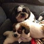 Profile Picture of Peggy Duncan (@pegscreations) on Instagram