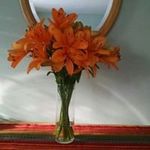 Profile Picture of cindy proctor (@crazypro123) on Instagram