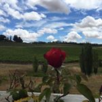 Profile Picture of Jim Yeager (@meilleur_co) on Instagram