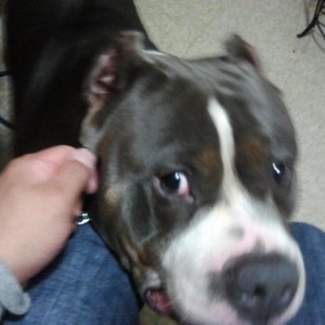 Profile Picture of Jeison Marroquin (@429915165) on Myspace