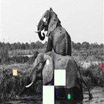 Profile Picture of 윤찬진 (@affriolant1_801) on Instagram