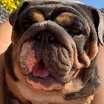 Profile Picture of Jacqueline Robina Mitchell (@jacquelinerobina) on Instagram