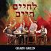 Profile Picture of Chaim Green (@chaim.green.585) on Facebook