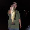 Profile Picture of Billy Lynch (@@billylynch92) on Tiktok